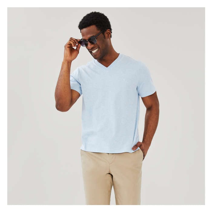 Men's Organic Cotton V-Neck T-Shirt - Light Blue Mix